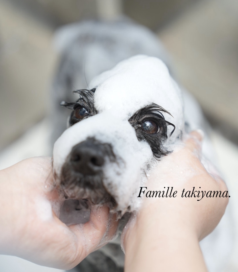 Petsalon Famille 滝山店の紹介写真_2枚目
